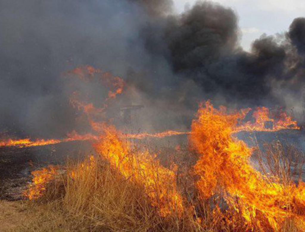 Impedire gli incendi in Sicilia, si può.