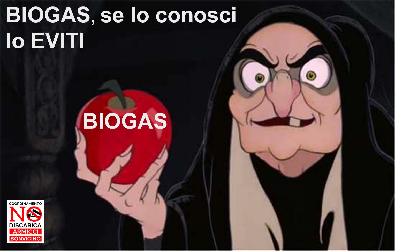 Sulla questione del biogas e altro.