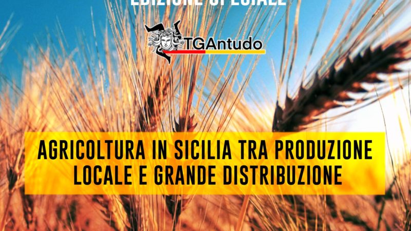 TGAntudo – Edizione Speciale – Agricoltura in Sicilia tra produzione locale e grande distribuzione