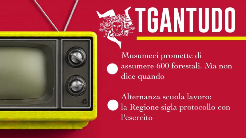 TGAntudo 27/12/21
