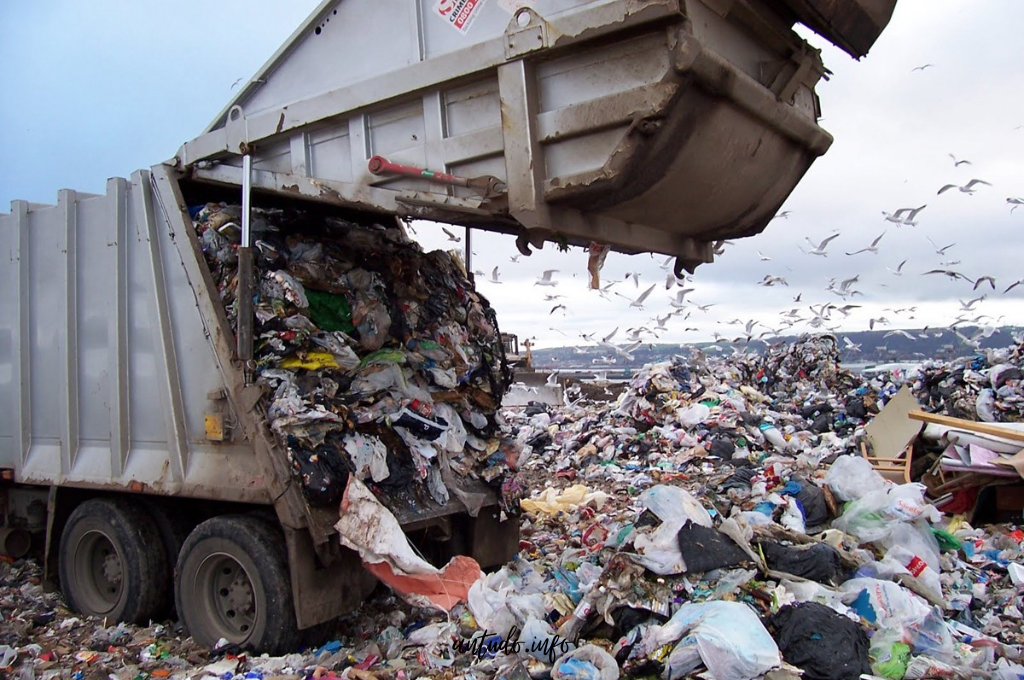 Catania, questione rifiuti: serve davvero esportare in Olanda?